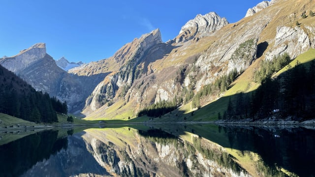 Am Samstag war es am Seealpsee/AI wolkenlos. Am Samstag war es am Seealpsee/AI wolkenlos.