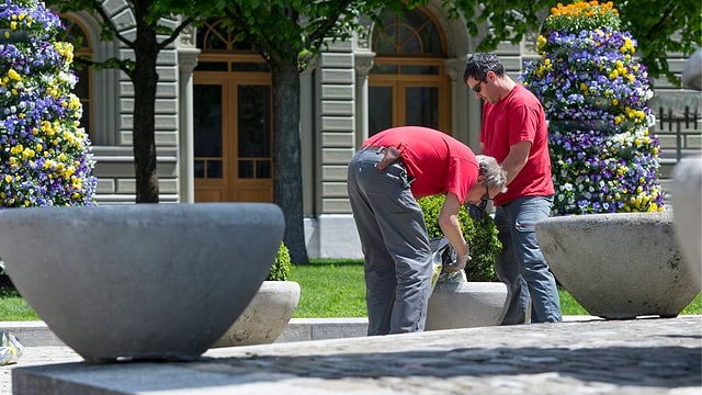 Zwei Gärtner vor dem Bundeshaus. Zwei Gärtner vor dem Bundeshaus.