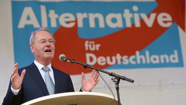 Hans-Olaf Henkel an einem Rednerpult vor einem Plakat der AfD Hans-Olaf Henkel an einem Rednerpult vor einem Plakat der AfD