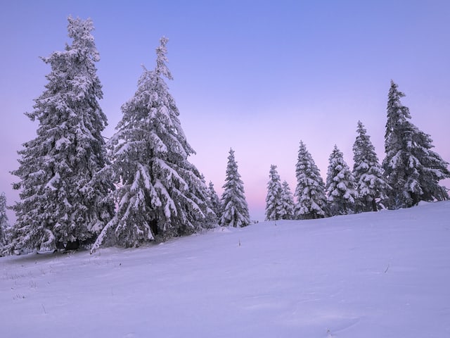 Im Jura sah es am Sonntagmorgen aus, wie in Lappland