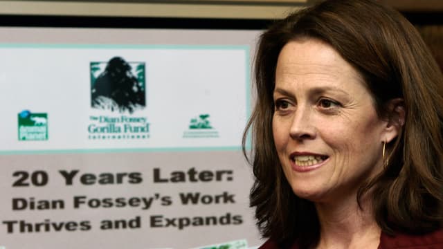 Schauspielerin Sigourney Weaver auf einer Pressekonferenz 20 Jahre nach Dian Fosseys Tod. Schauspielerin Sigourney Weaver auf einer Pressekonferenz 20 Jahre nach Dian Fosseys Tod.
