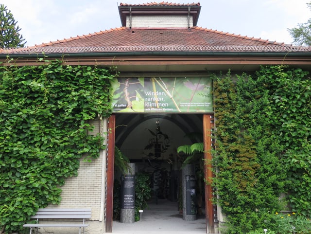 Eingang zum Museum ist überwuchert von Efeu Eingang zum Museum ist überwuchert von Efeu