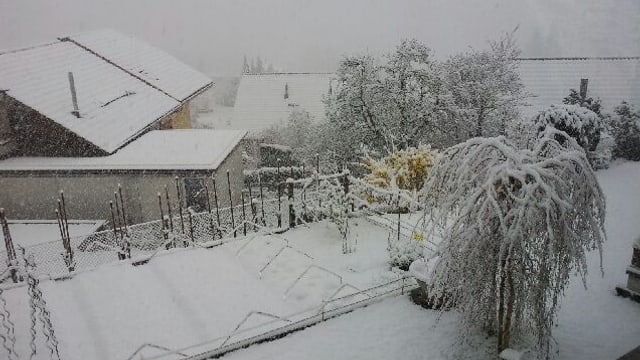Schneebedeckte Wiesen und Häuser in Thun. Schneebedeckte Wiesen und Häuser in Thun.