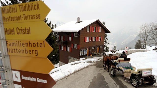 Pferd mit Wagen in Braunwald Pferd mit Wagen in Braunwald