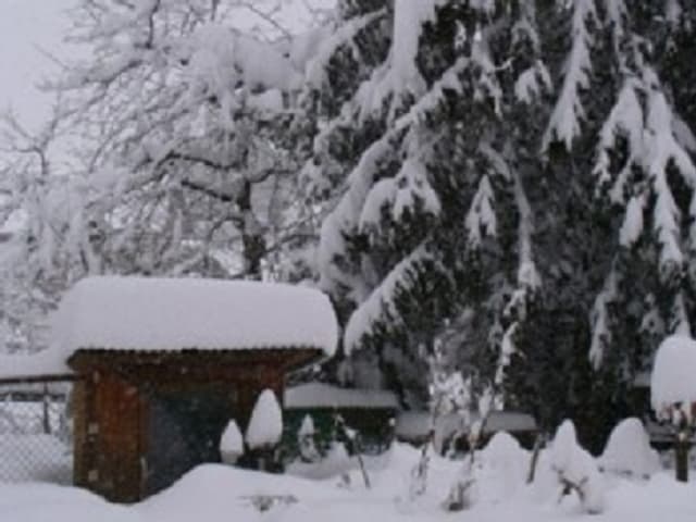 Schnee am 5. März 2006 in Wittenbach SG. Schnee am 5. März 2006 in Wittenbach SG.