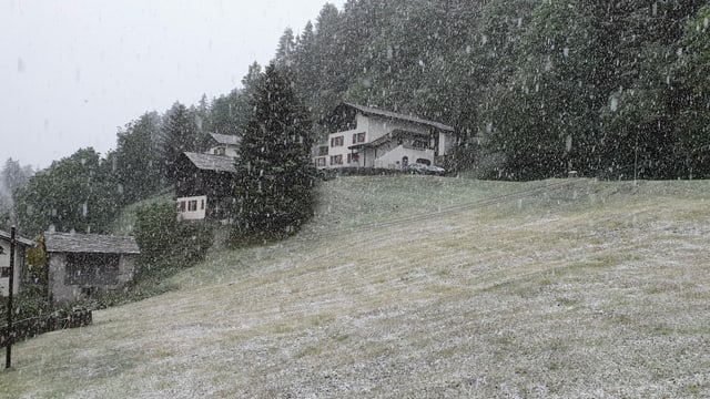 Leicht verschneite in Wiese in Vals. Leicht verschneite in Wiese in Vals.