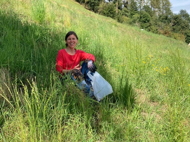 Flurina Manetsch sitzt in einer Blumenwiese. In der Hand hält sie einen Plastiksack und trägt Handschuhe. Flurina Manetsch sitzt in einer Blumenwiese. In der Hand hält sie einen Plastiksack und trägt Handschuhe.