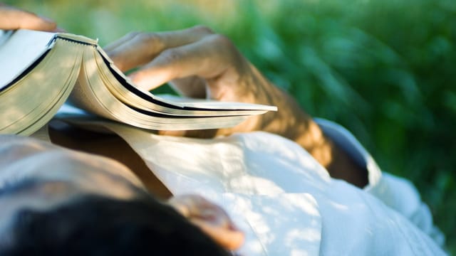 Ein Mann liest auf einer Wiese. Er hat ein Buch auf der Brust. Ein Mann liest auf einer Wiese. Er hat ein Buch auf der Brust.