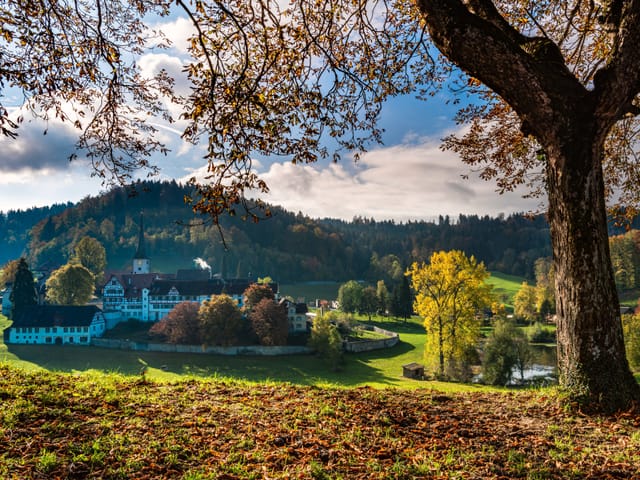 Blick über eine Wiese auf ein Kloster. Es ist wechselnd bewölkt.