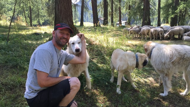 Hirte mit Herdenschutzhunden. Hirte mit Herdenschutzhunden.