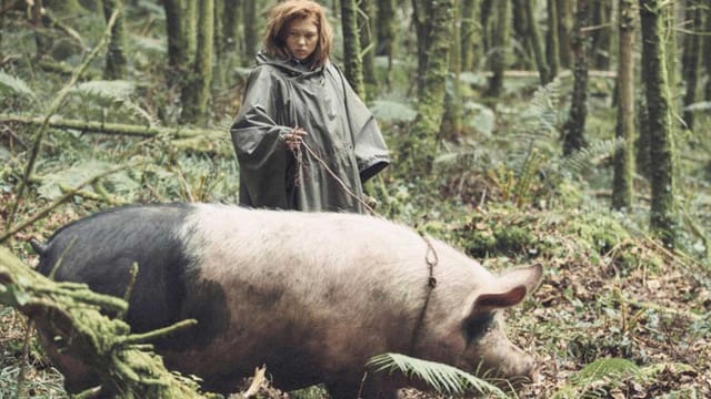 schwein im Wald schwein im Wald