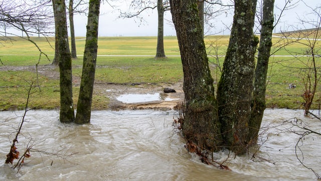 Fluss über den Ufern. Fluss über den Ufern.