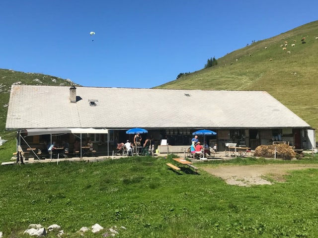 Alp Tritt