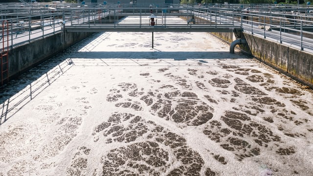 Von wo die Mikro-Verunreinigungen im Aargauer Abwasser kommen