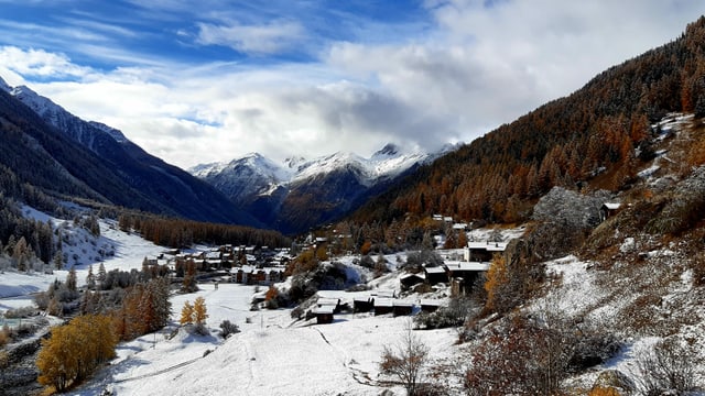Verschneites Lötschental am Dienstag, die Bäume haben aber den Schnee bereits wieder abgeworfen. Verschneites Lötschental am Dienstag, die Bäume haben aber den Schnee bereits wieder abgeworfen.