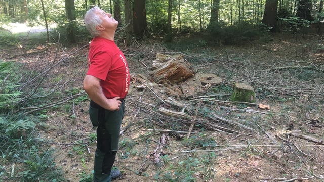 Mann in rotem T-Shirt im Wald, guckt in die Luft. Mann in rotem T-Shirt im Wald, guckt in die Luft.