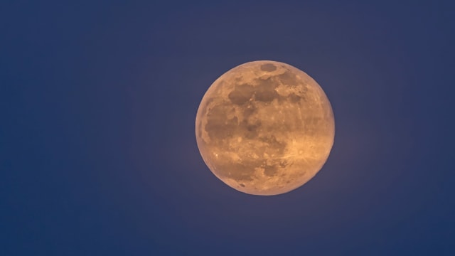 Rötlicher Vollmond am Himmel. Es handelt sich aber um keine Monfinsternis, Rötlicher Vollmond am Himmel. Es handelt sich aber um keine Monfinsternis,