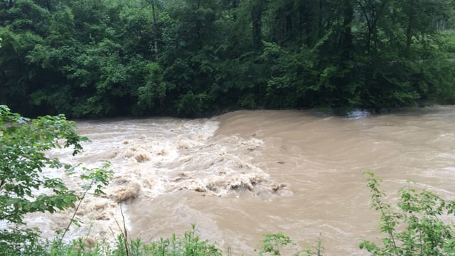 Die Töss führte am Donnerstagmorgen Hochwasser. Die Töss führte am Donnerstagmorgen Hochwasser.