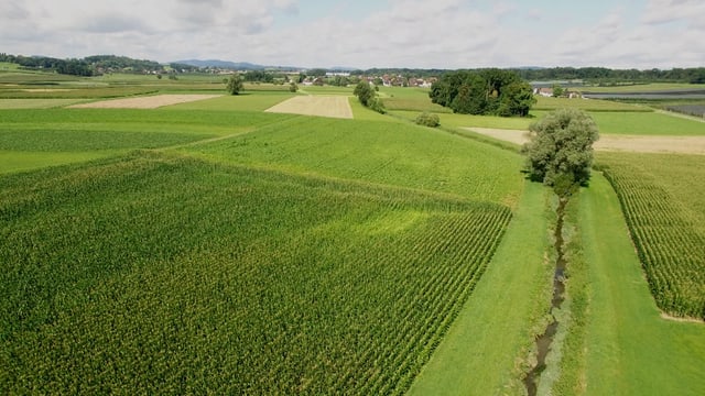 Grüne Felder durch die ein Fluss fliesst Grüne Felder durch die ein Fluss fliesst