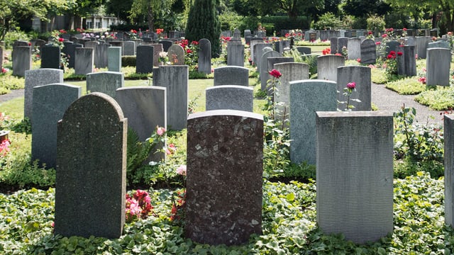Gräberfeld auf dem Friedhof Sihlfeld Gräberfeld auf dem Friedhof Sihlfeld