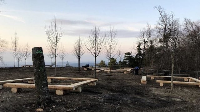 Blick auf einen Rastplatz mit Bänken, aber jetzt ohne Bäume. Blick auf einen Rastplatz mit Bänken, aber jetzt ohne Bäume.