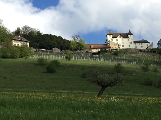 Das Schloss und das Gärtnerhaus
