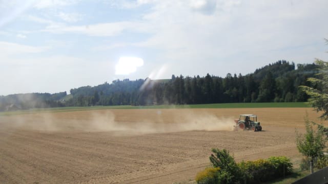 Trotz Regen waren die Äcker ausgetrocknet, wie hier am 8. August im Emmental. Trotz Regen waren die Äcker ausgetrocknet, wie hier am 8. August im Emmental.