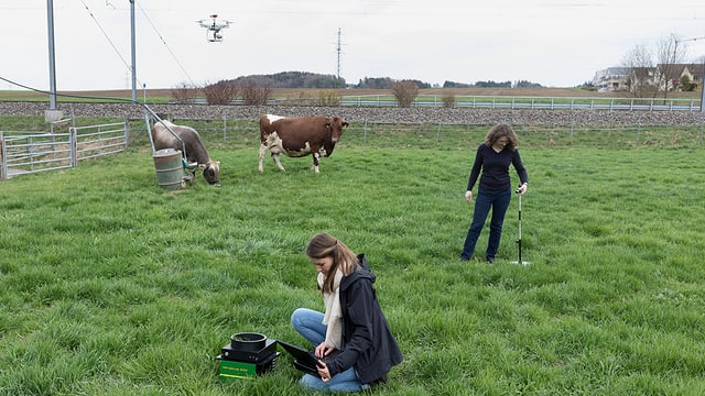 Zwei Frauen mit Messinstrumenten auf einer Weide mit zwei Kühen. Zwei Frauen mit Messinstrumenten auf einer Weide mit zwei Kühen.