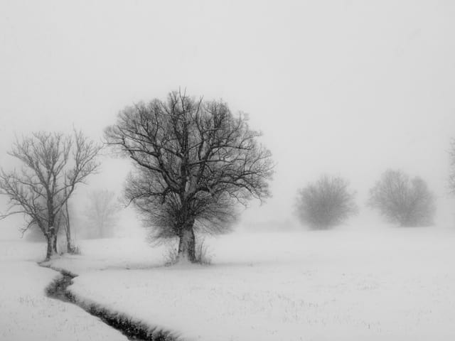 Schneesturm an einem See.