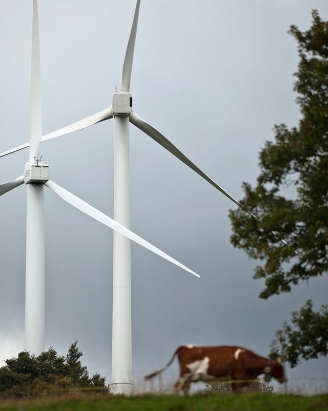 Zwei Windräder in einer Schweizer Landschaft, im Vordergrund grasen Kühe. Zwei Windräder in einer Schweizer Landschaft, im Vordergrund grasen Kühe.