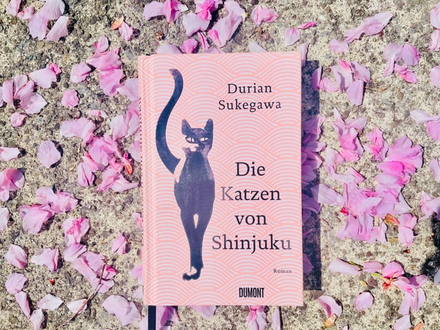 Der Roman «Die Katzen von Shinjuku» von Durian Sukegawa liegt auf Kirschblüten Der Roman «Die Katzen von Shinjuku» von Durian Sukegawa liegt auf Kirschblüten