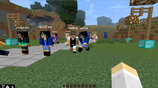 Eien Szene auf dem Videospiel «Minecraft» Eien Szene auf dem Videospiel «Minecraft»