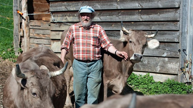Armin Capaul mit einigen seiner Kühe