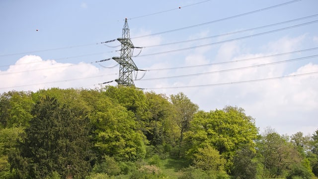Strommast in einem Waldstück Strommast in einem Waldstück