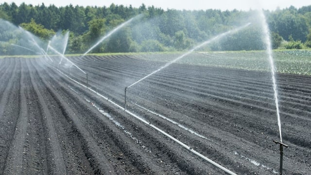 Bewässerungsanlage spritzt Wasser auf einen Acker Bewässerungsanlage spritzt Wasser auf einen Acker