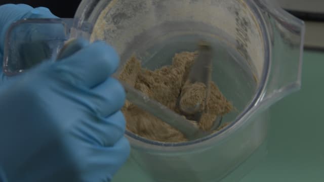 Laborantin misch Brotmasse in einem Laborgefäss Laborantin misch Brotmasse in einem Laborgefäss