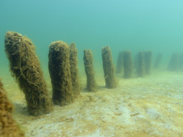 Reste von Pfahlbausiedlungen unter Wasser