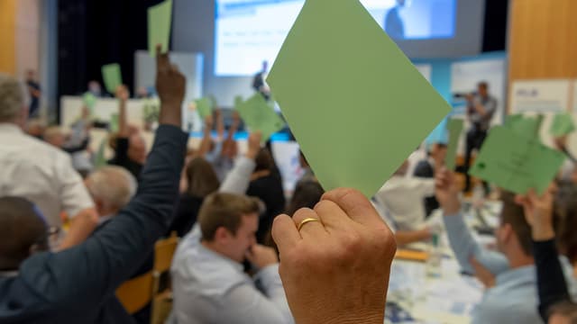 FDP-Delegierte stimmen ab FDP-Delegierte stimmen ab