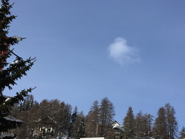Blauer Himmel über einem Hang mit Tannen und Häuser. In der Bildmitte eine dünne Quellwolke. Blauer Himmel über einem Hang mit Tannen und Häuser. In der Bildmitte eine dünne Quellwolke.