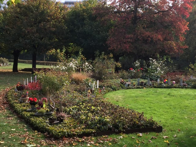 Eine Wiese mit Blumenbeet Eine Wiese mit Blumenbeet
