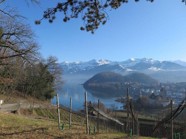 Wo ist der Winter? Die Spiezerbucht in Frühlingsluft.