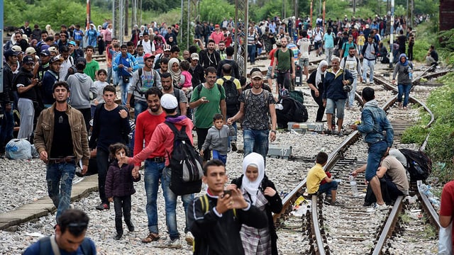 Migranten an der mazedonischen Grenze. Migranten an der mazedonischen Grenze.
