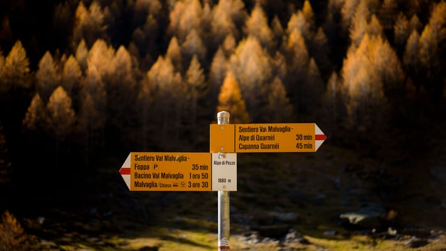 Der Wanderwegweiser. Der Wanderwegweiser.