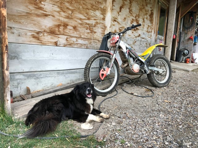Alp-Stilleben mit Töff und Hund.