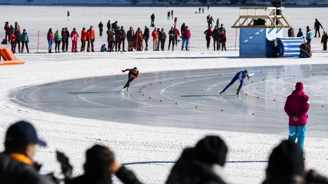 Kufen gleiten, Muskeln arbeiten: Fast scheinen die Eischnellläufer über das Eis zu fliegen. Kufen gleiten, Muskeln arbeiten: Fast scheinen die Eischnellläufer über das Eis zu fliegen.