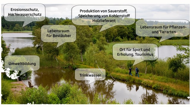 Grafik zu Ökosystemleistungen Grafik zu Ökosystemleistungen