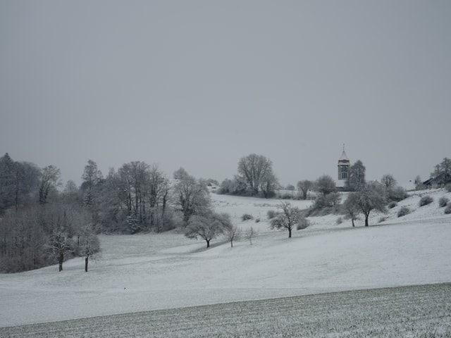Wiesen im Schnee.