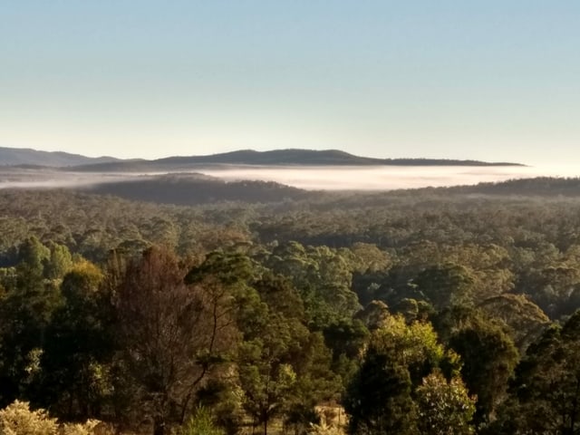 Aussicht auf den australischen Busch. Aussicht auf den australischen Busch.