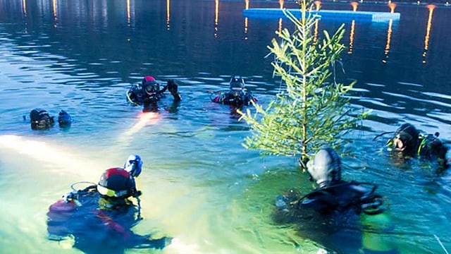 Taucher fischen einen Weihnachtsbaum aus dem Wasser. Taucher fischen einen Weihnachtsbaum aus dem Wasser.