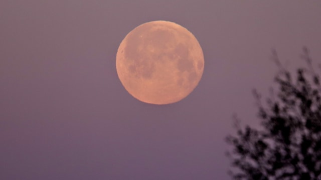 Der Frühlingsvollmond war am Ostersonntagmorgen in zartes Rosa gehüllt. Der Frühlingsvollmond war am Ostersonntagmorgen in zartes Rosa gehüllt.